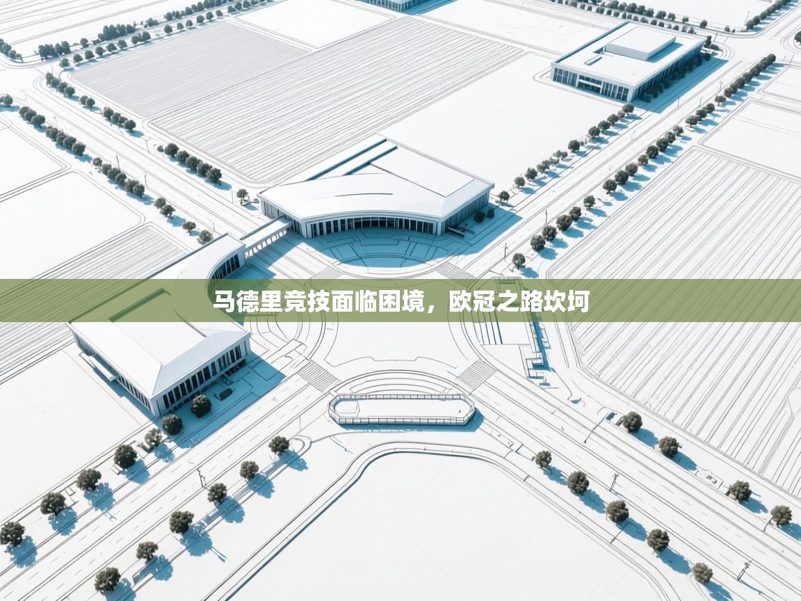 马德里竞技面临困境，欧冠之路坎坷  第2张