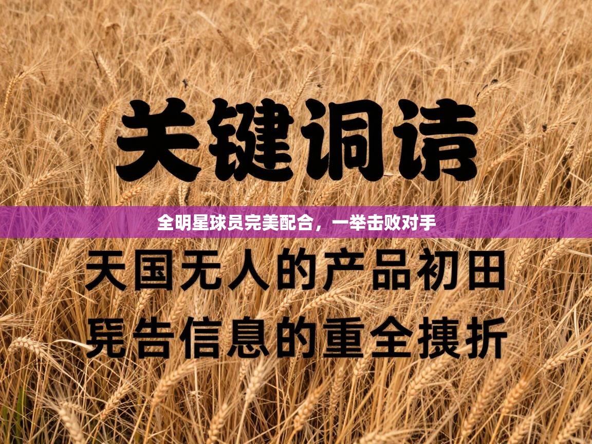 全明星球员完美配合，一举击败对手  第1张
